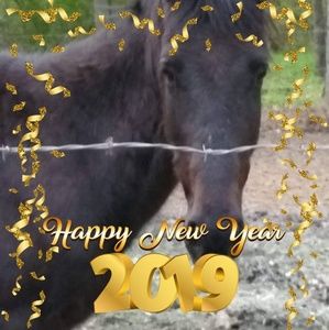 Meet your Posher, Shawn